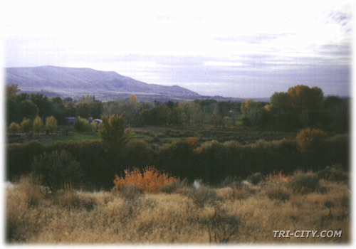 The Horse Heaven Hills rise up west of the Tri-Cities - 42k